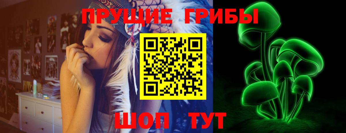 Галлюциногенные грибы Psilocybine cubensis  Галлюциногенные грибы GOLDEN TEACHER  Дубна  Вход с VPN 